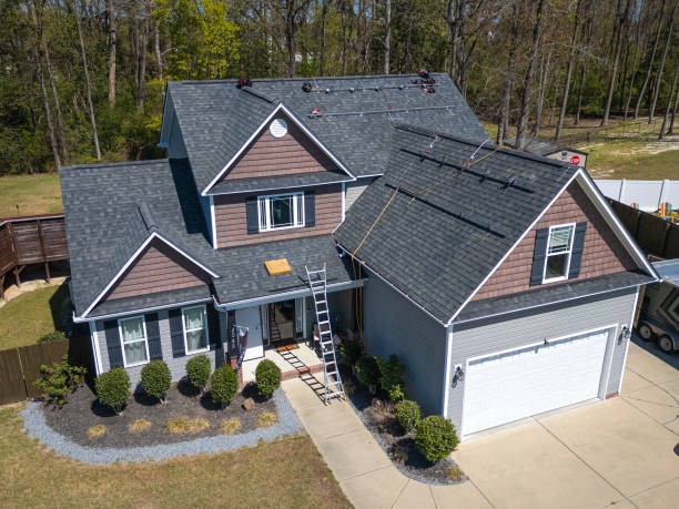 Best Roof Moss and Algae Removal  in Adamsville, TN