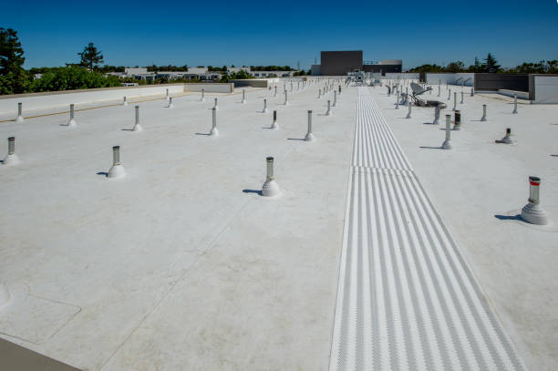 Best Skylights  in Adamsville, TN